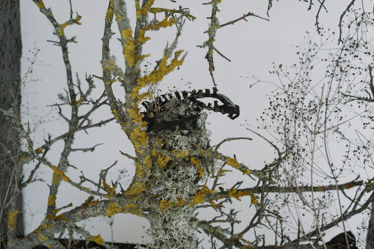 Яна Васильева: ''Любая неискренность очень легко считывается''