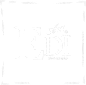 edgar-dushhunyan.wfolio.pro