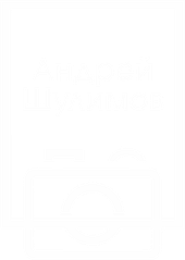 shulimovandrey.ru