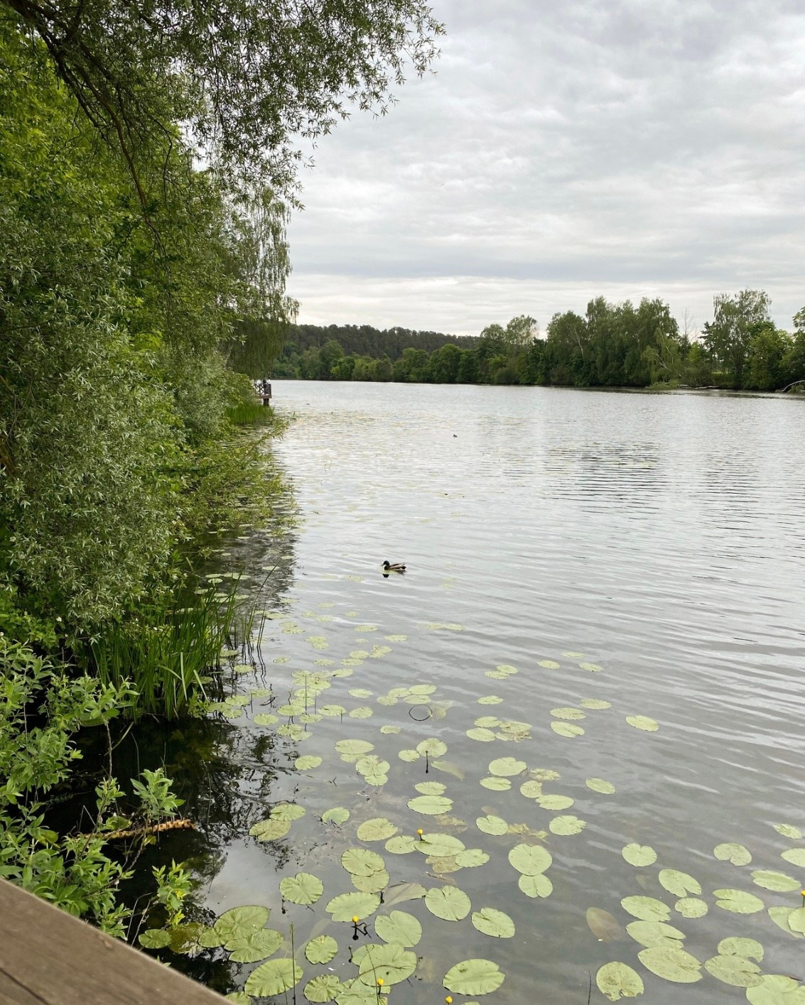 Усадьбы. Экскурсовод по Москве Беляева Валентина