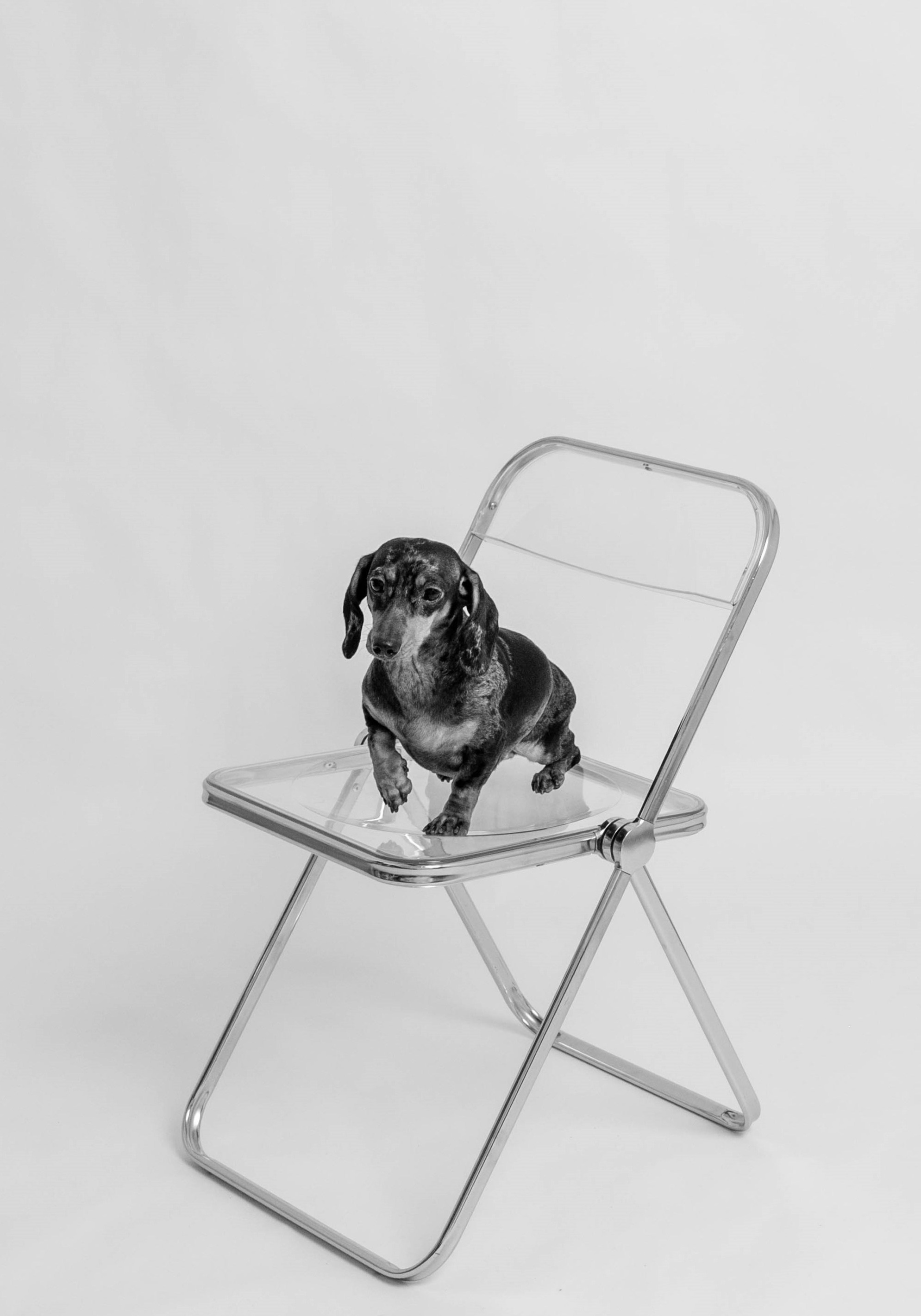 Автопортретная Фото Точка Самара