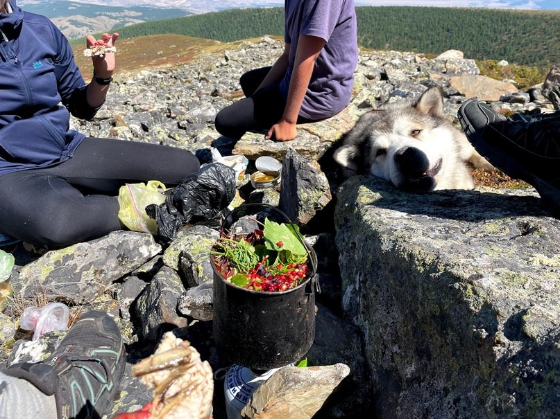 Пеший поход « Чудеса Курайской степи. Каракабакские озера, долина Мааш. Фотограф анималист, пейзажист, спортивные мероприятия. Новосибирск