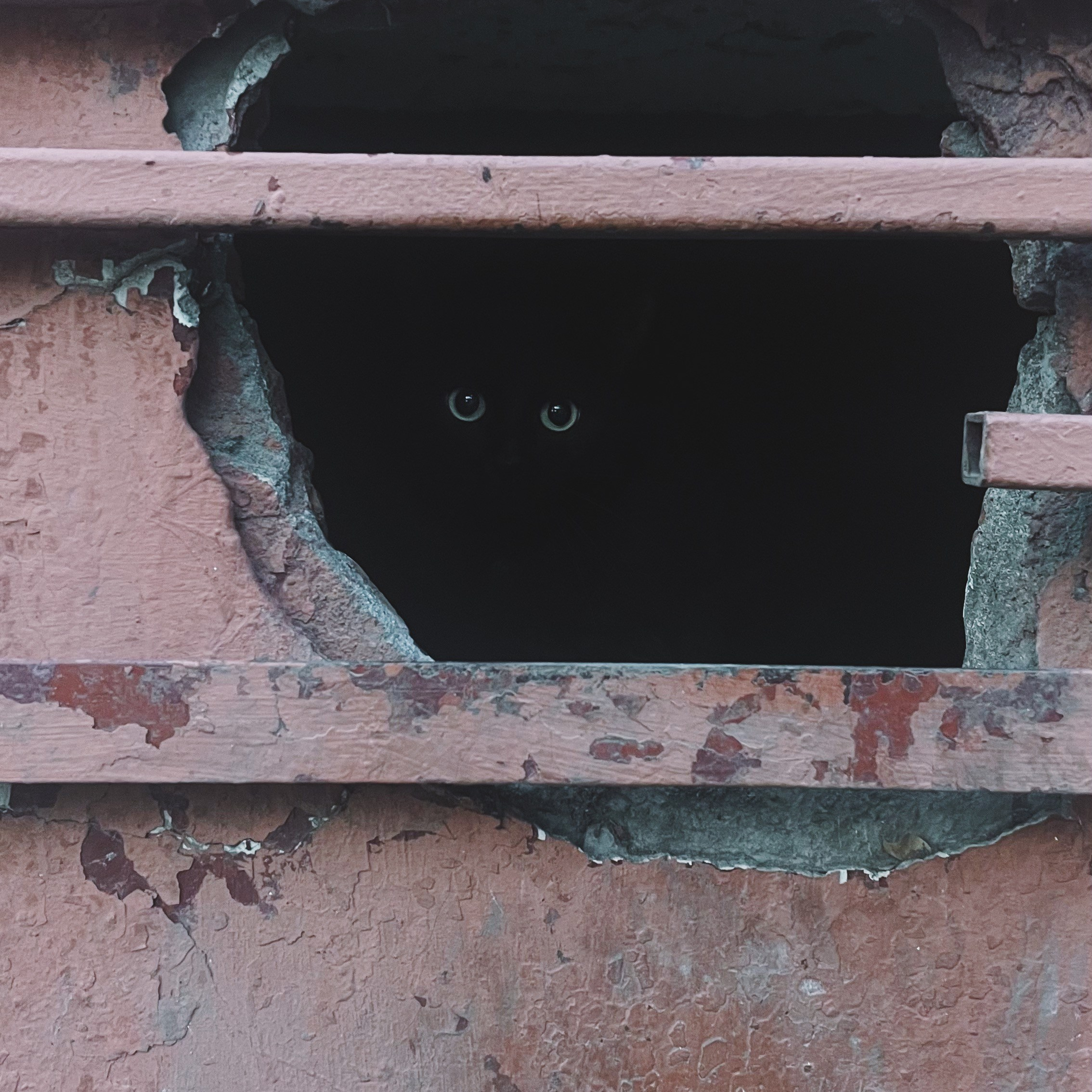 «Лучший кадр года». Фотовыставки serebro.gallery, в которых автором можешь стать ты! | Москва