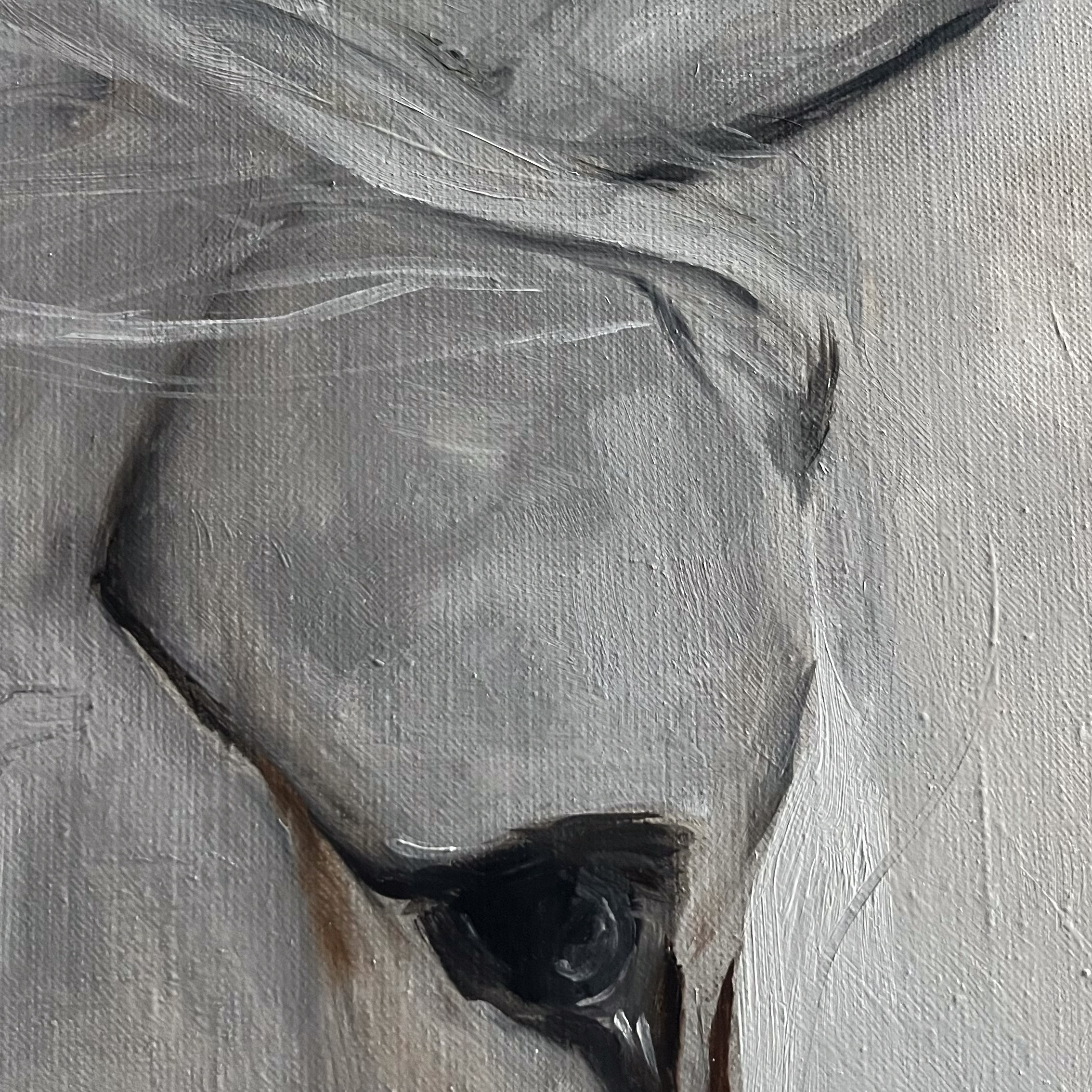 Арина Кузнецова Худоджник фотограф Арина Кузнецова серия картин Кони Мечтать как чувстовать картина покрность