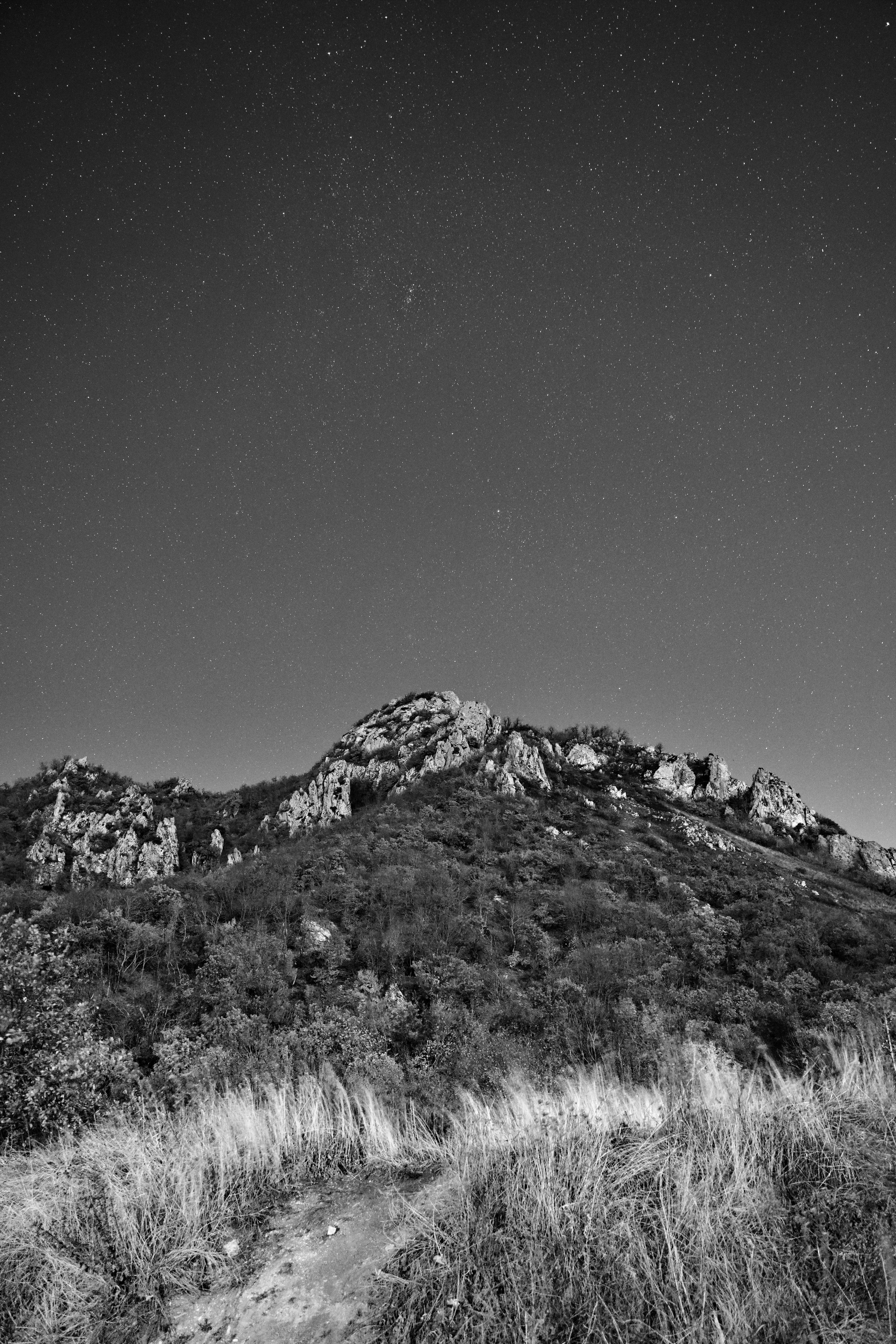 Фотограф Николай Костюк