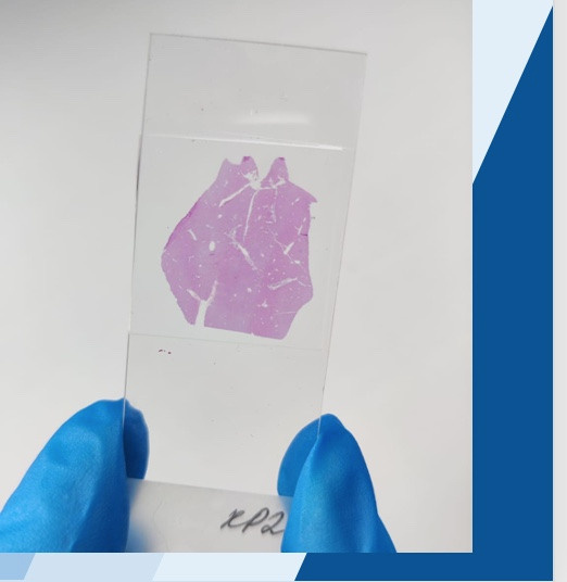 Искусственный интеллект для диагностики. Главная