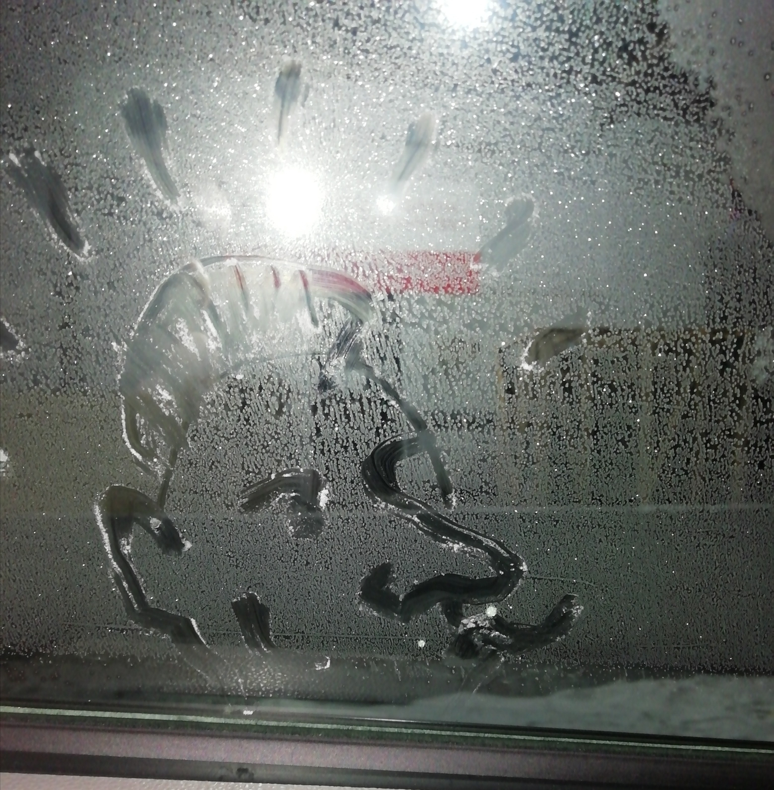 Рисункинаокнахавтобуса. Художник Рыбак Николай