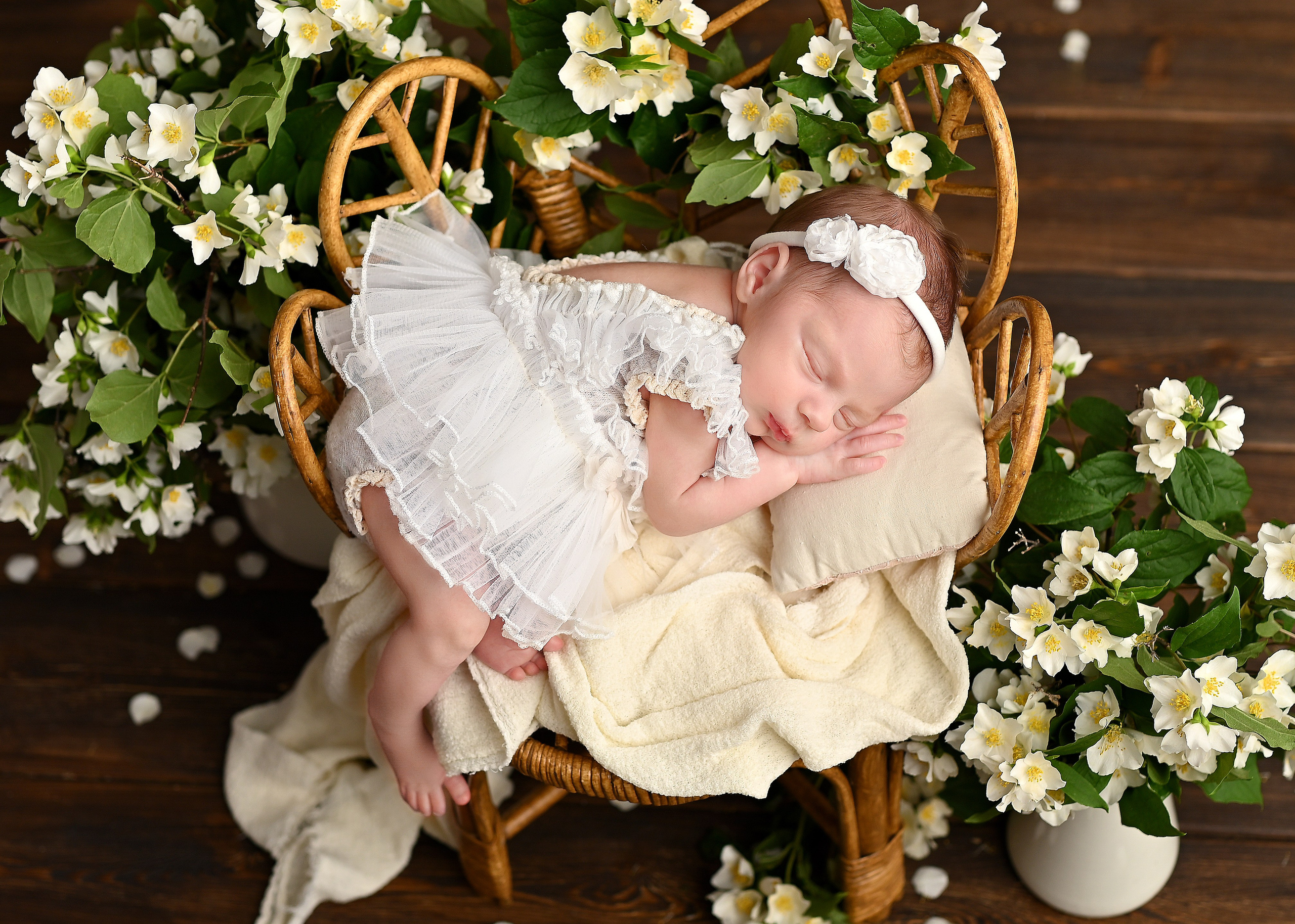 Услуги. Фотограф новорождённых малышей в Краснодаре Татьяна Нагорная