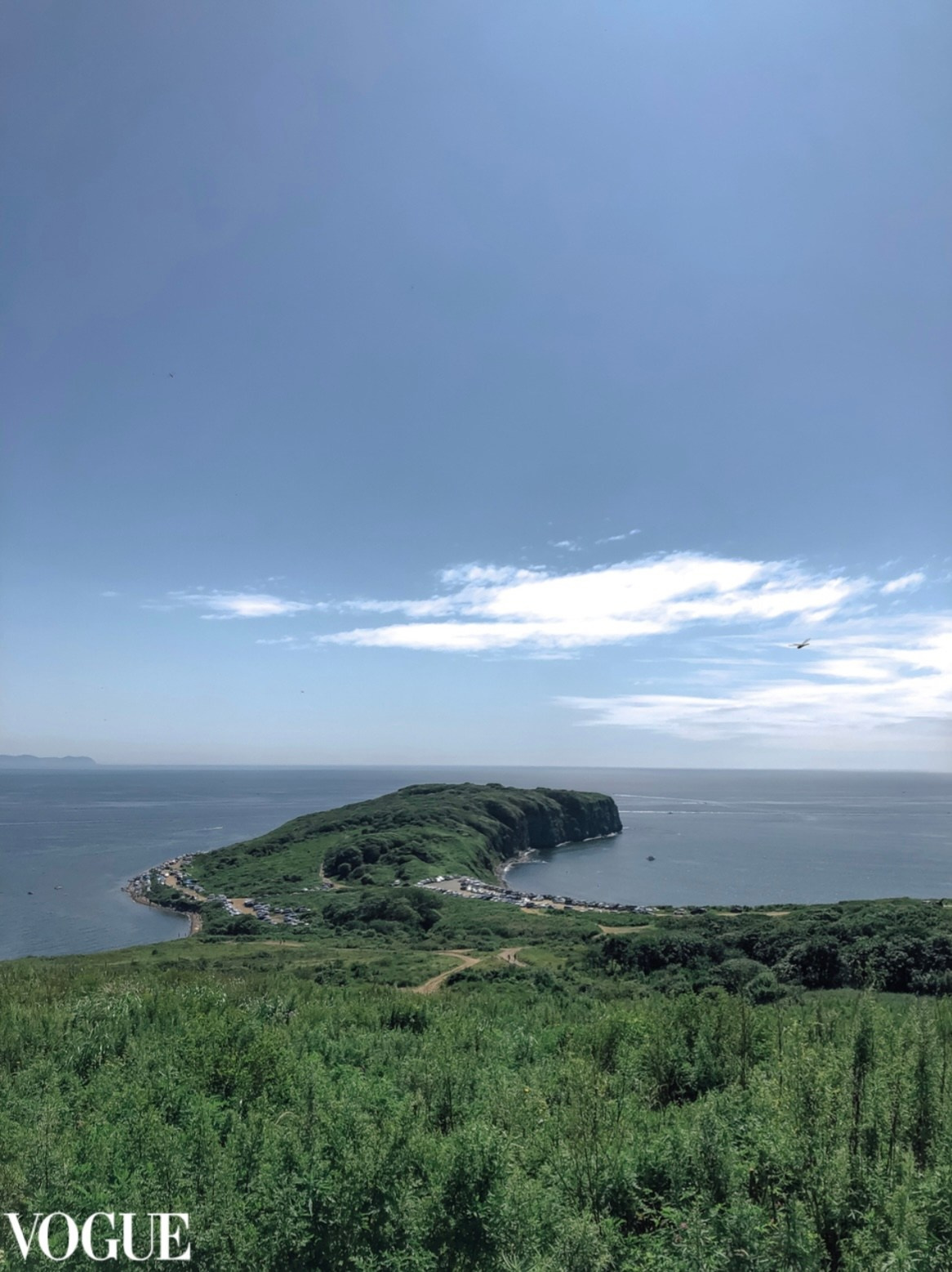 Участие на выставках