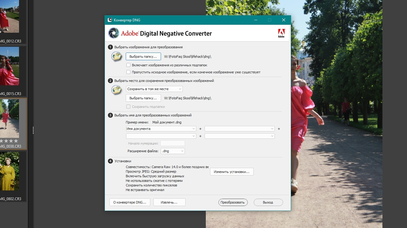 Как отрыть cr3 с камеры Canon M50 Mark II. FOTOFAQSKOOL г. Санкт-Петербург: очные, дистанционные и онлайн курсы фотографии