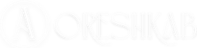 arishabartosh.wfolio.pro