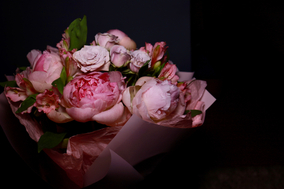 yuliyagreen.wfolio.pro