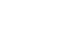 vladimirseleznev.ru