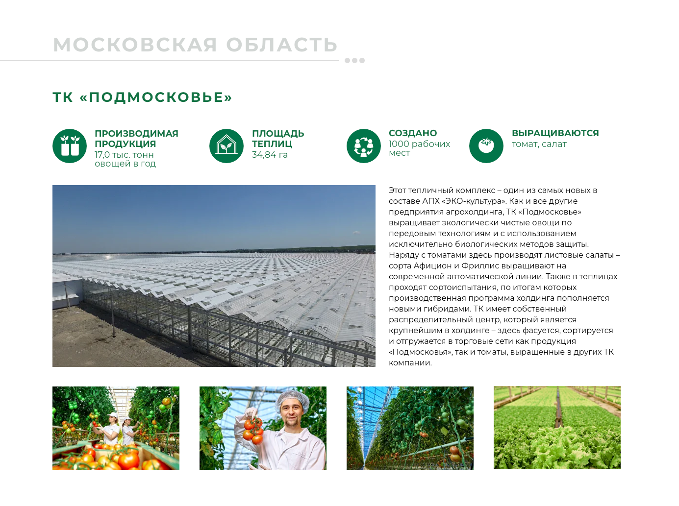 Эко-Культура