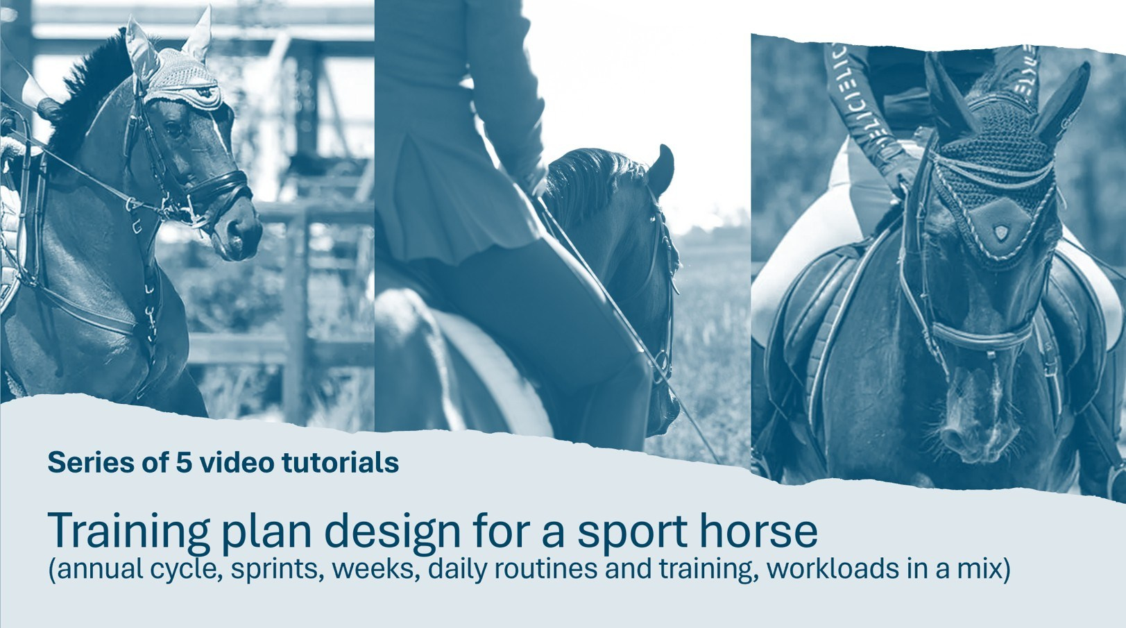 Календарь соревнований и семинаров. Лиана Антонович | Конные стратегии