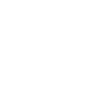 bolshepho.wfolio.pro