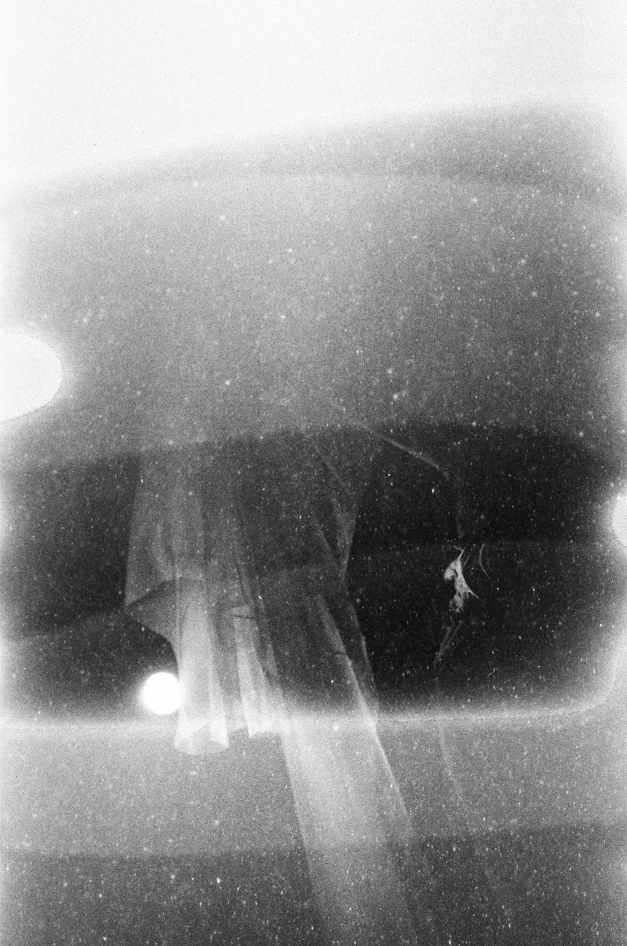 ARTWORKS. SVETLANA ASTRAKHANTSEVA