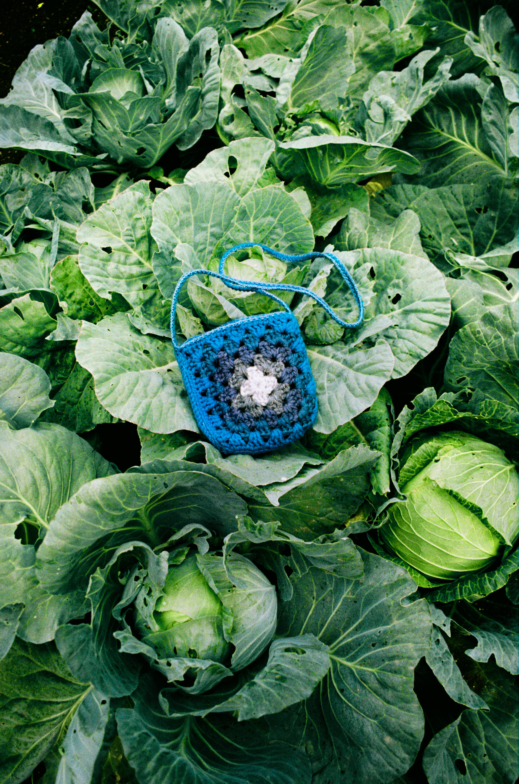 Предметный фотограф Москва Глухарёва Оля