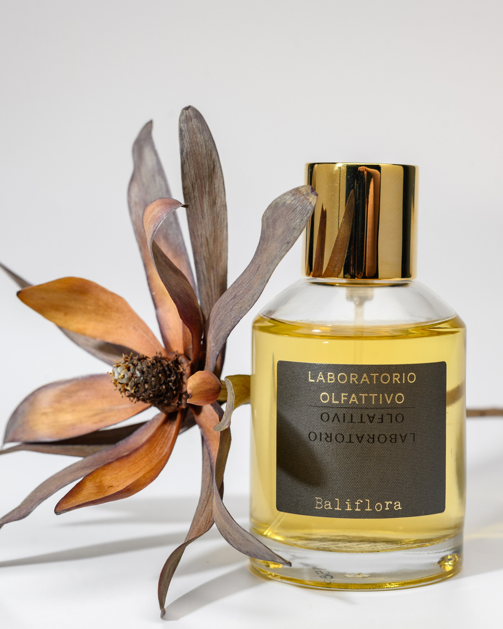 Фотоателье