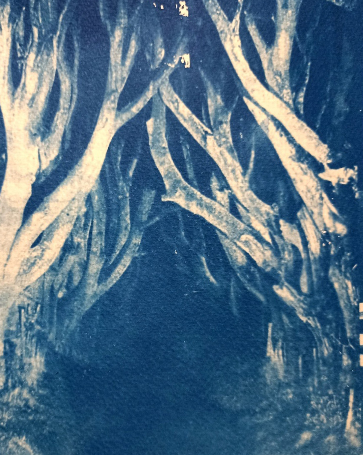 Работы студентов. Private image