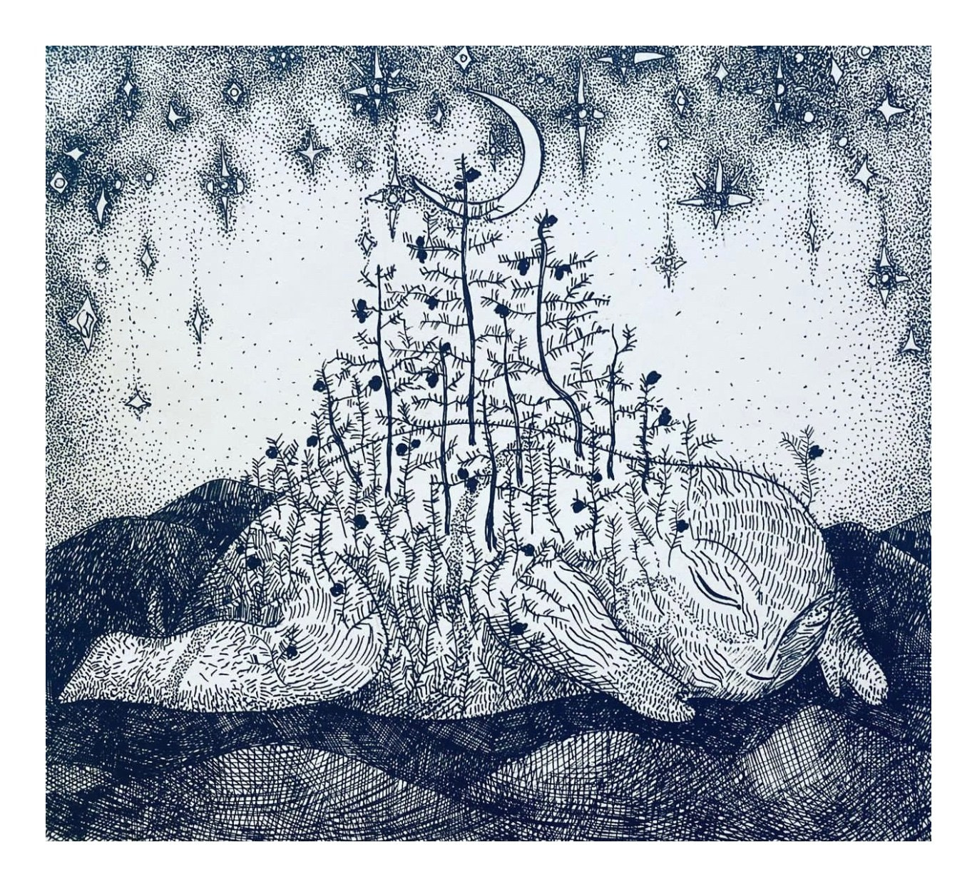 Графика. Донбай Василиса художник