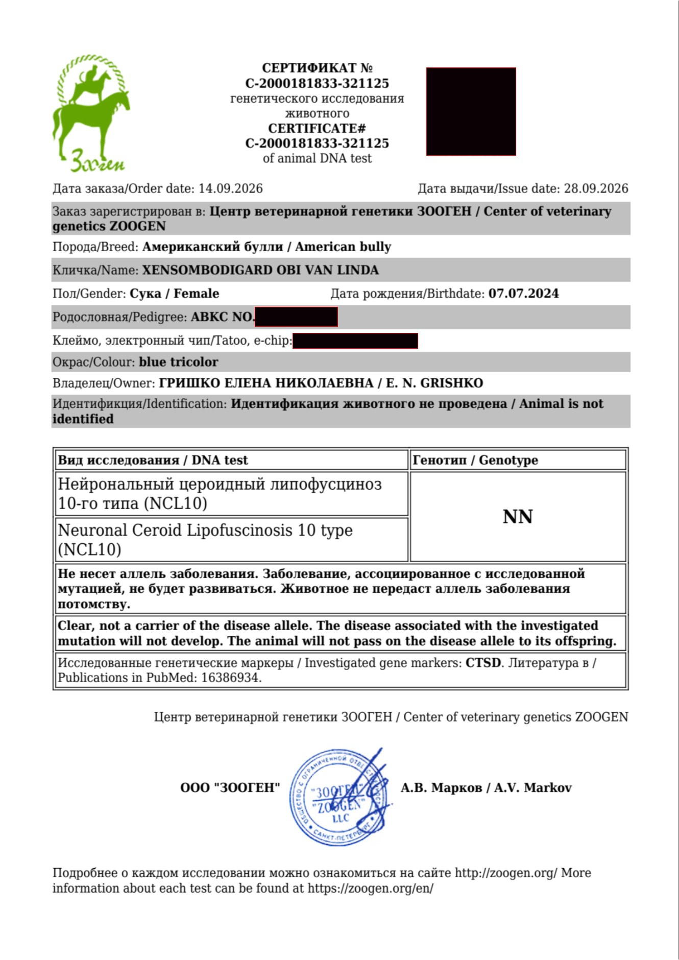 Лабораторное исследование крови на нейрональный цероидный липофусциноз у американского булли Курск