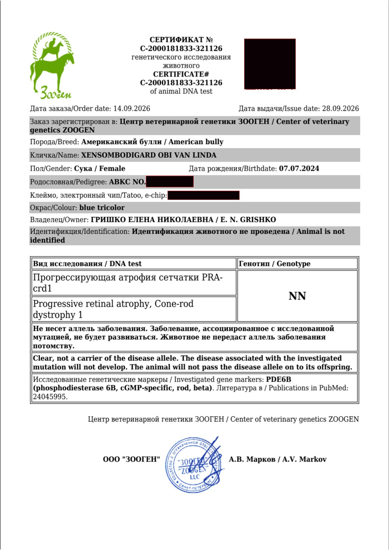 Официальный ветеринарный ДНК тест на прогрессирующую атрофию сетчатки у покет суки Линды Брянская область