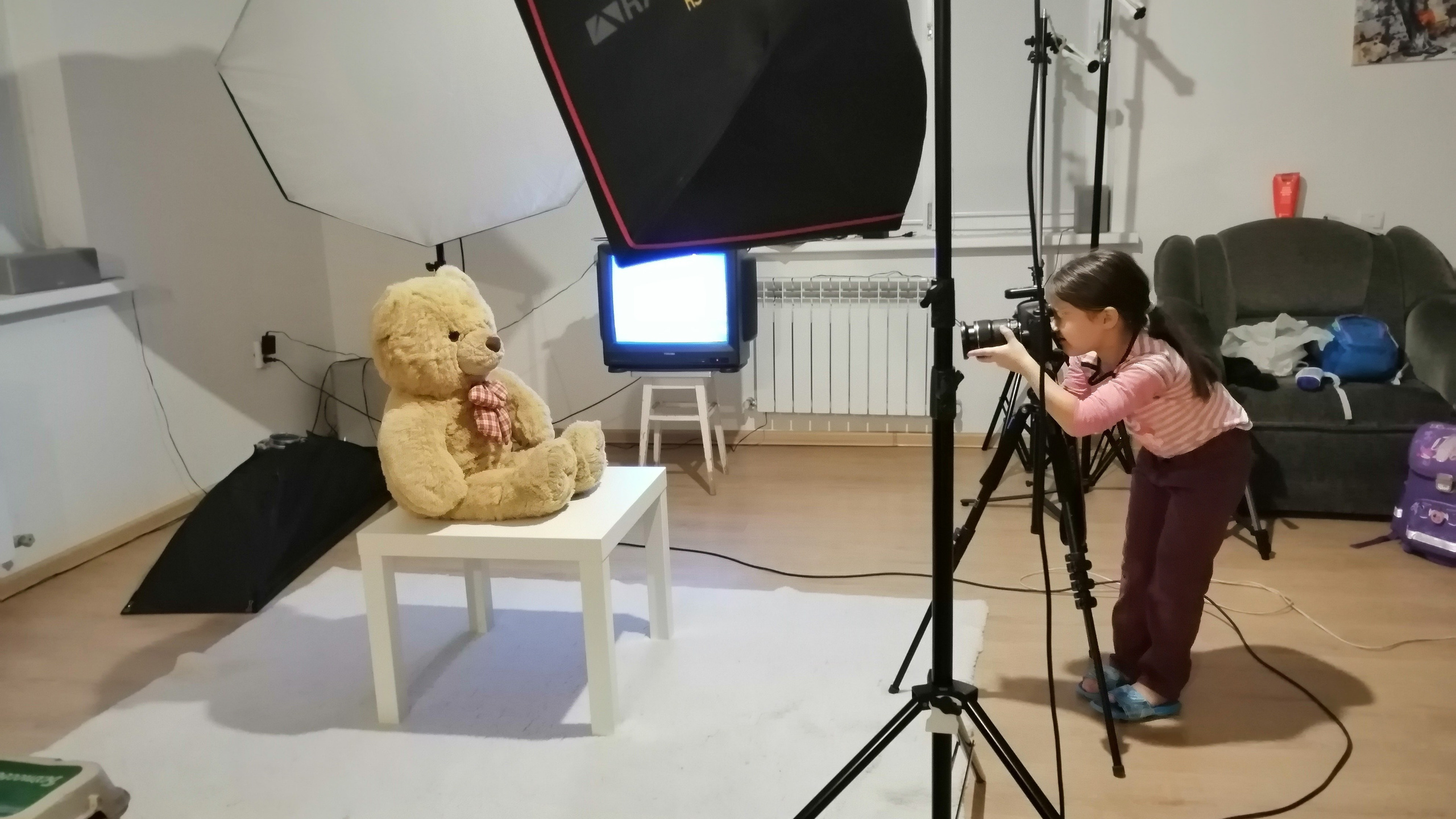 Процесс предметной съемки в студии - фотосъемка плюшевой игрушки