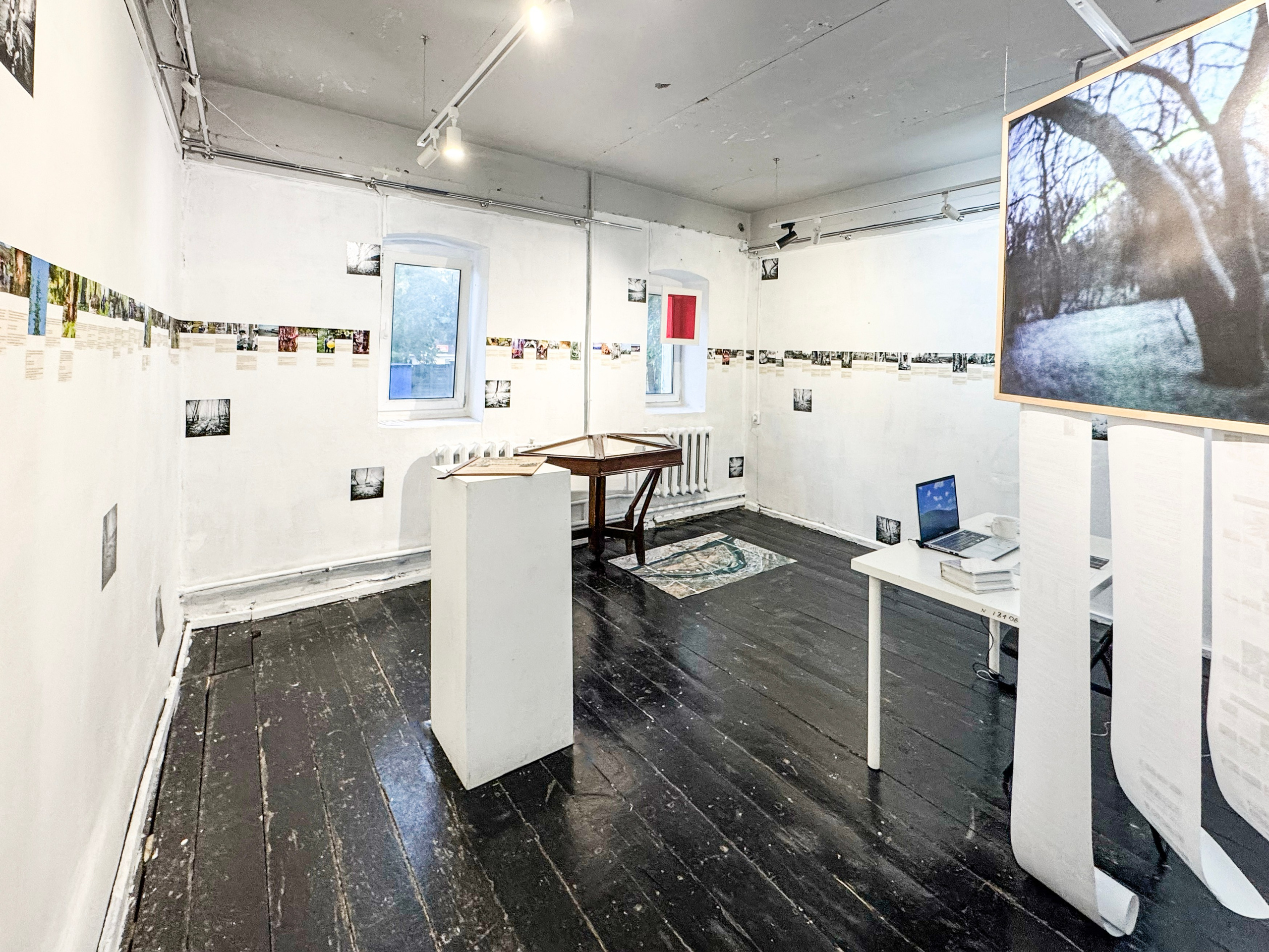 Beetlemania, персональная выставка, 29 августа-31 октября, МЦСИ, Ульяновск. Лера Круглова