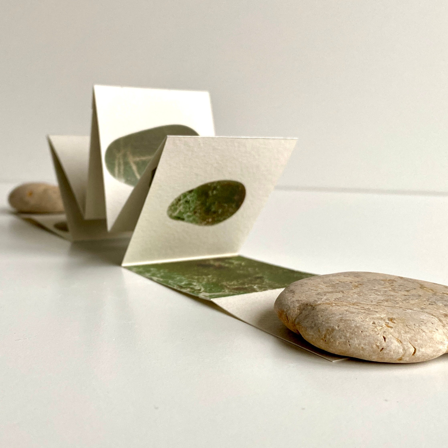 Зины. Visual artist