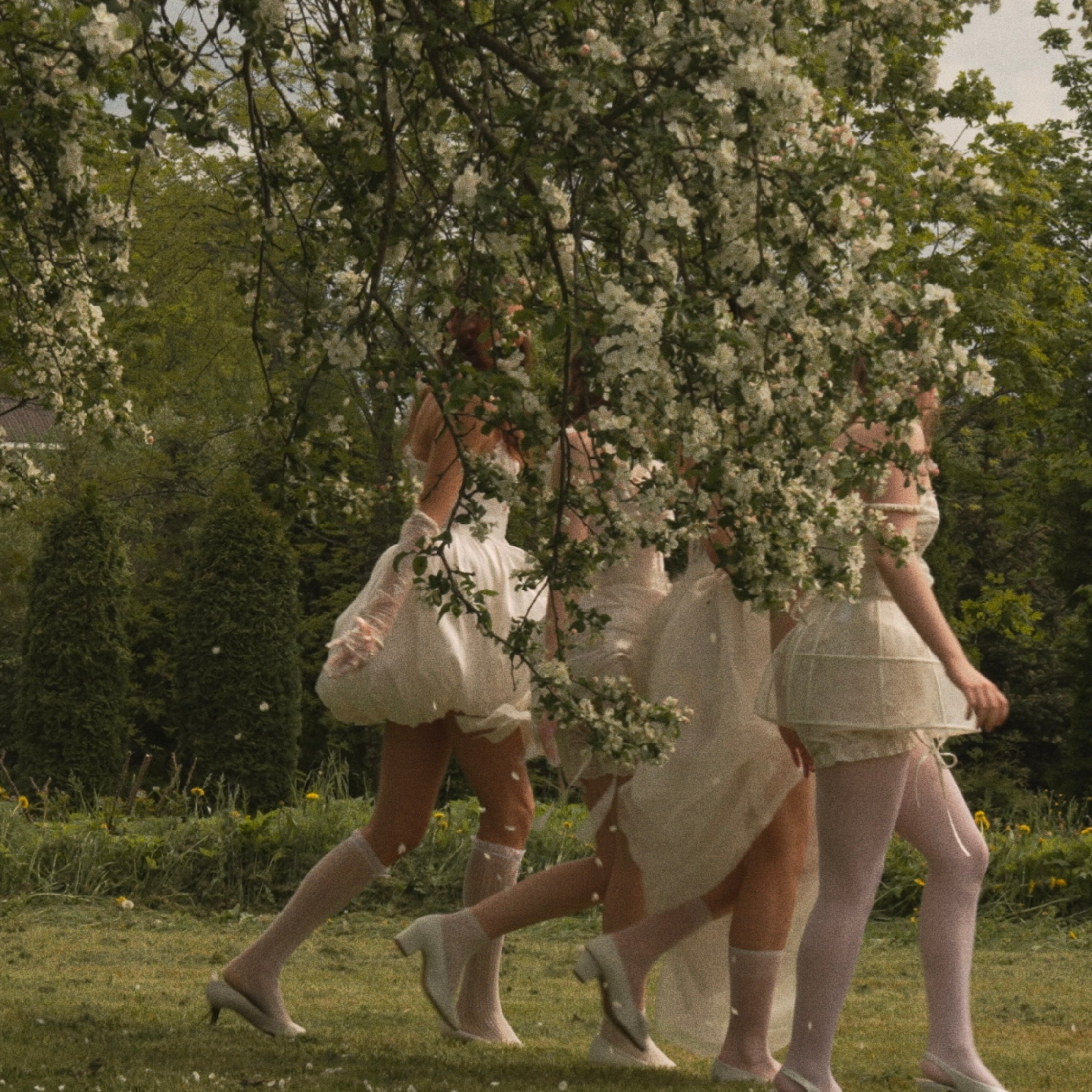 Контакты. О ЛЮБВИ НЕ ГОВОРЯТ.ЕЕ ПОКАЗЫВАЮТ