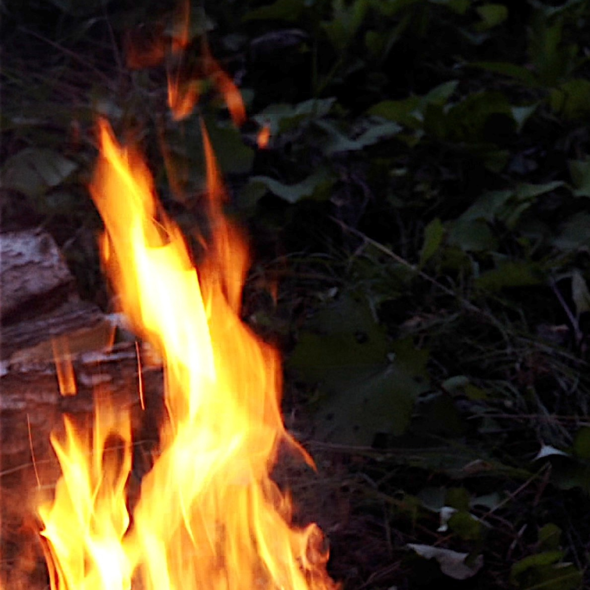 Индивидуальное. Видеограф в Новом Уренгое