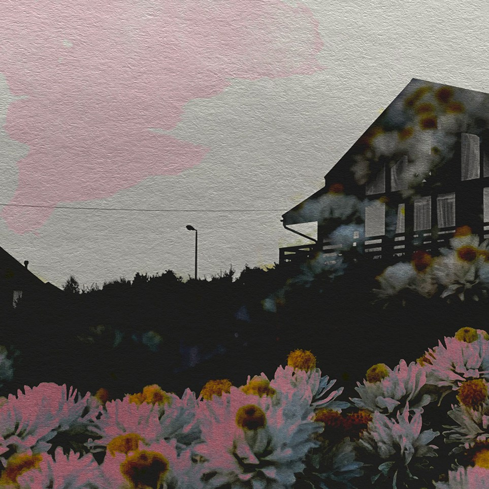 Серии. Visual artist