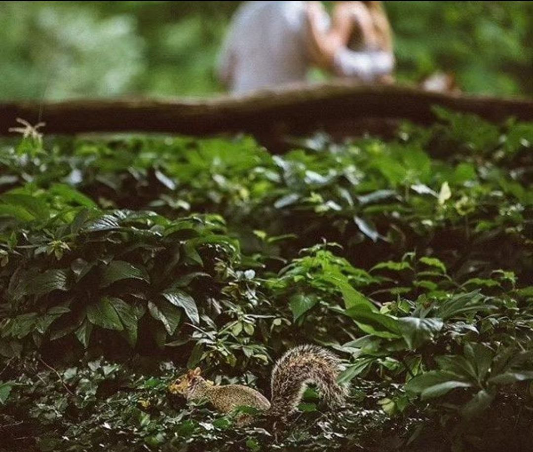 Профессиональный фотограф и любитель. В чём разница?. Фотограф в жанре Ню. Татьяна Хасанович. Красноярск