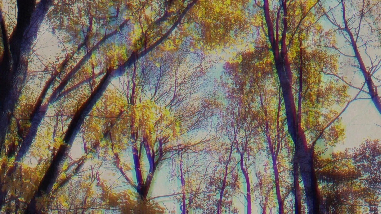 Когда лист падает. Visual artist