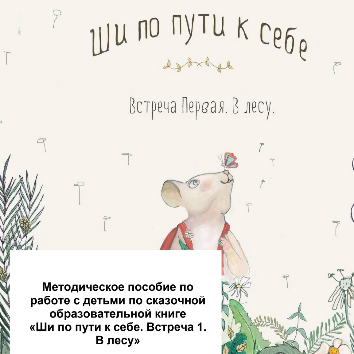 Книга «Ши по пути к себе» Елены Андриановой