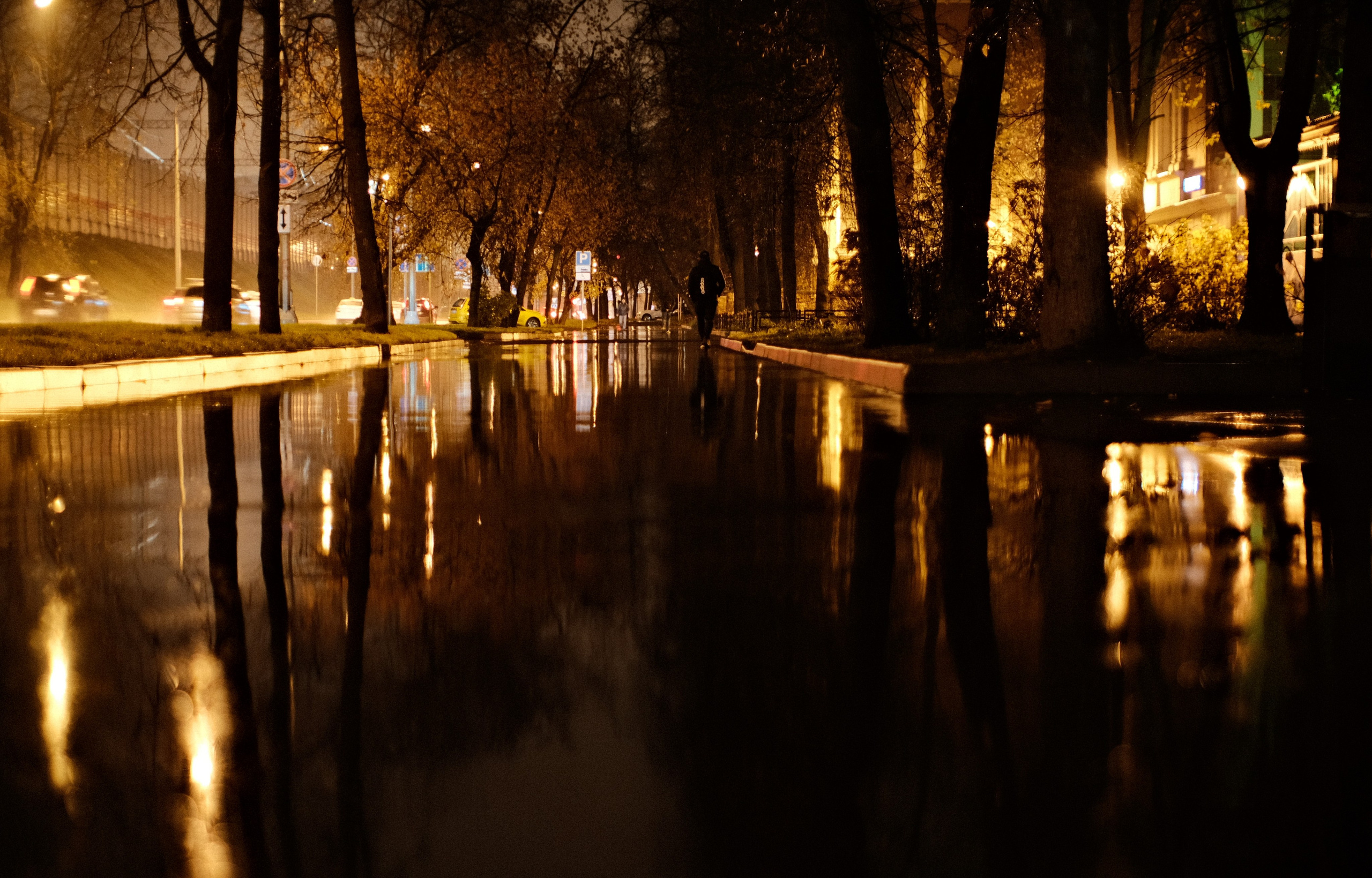 Ночная уличная фотография: мокрый асфальт отражает огни фонарей и деревьев, силуэт человека идёт по аллее, осенняя атмосфера, городской пейзаж