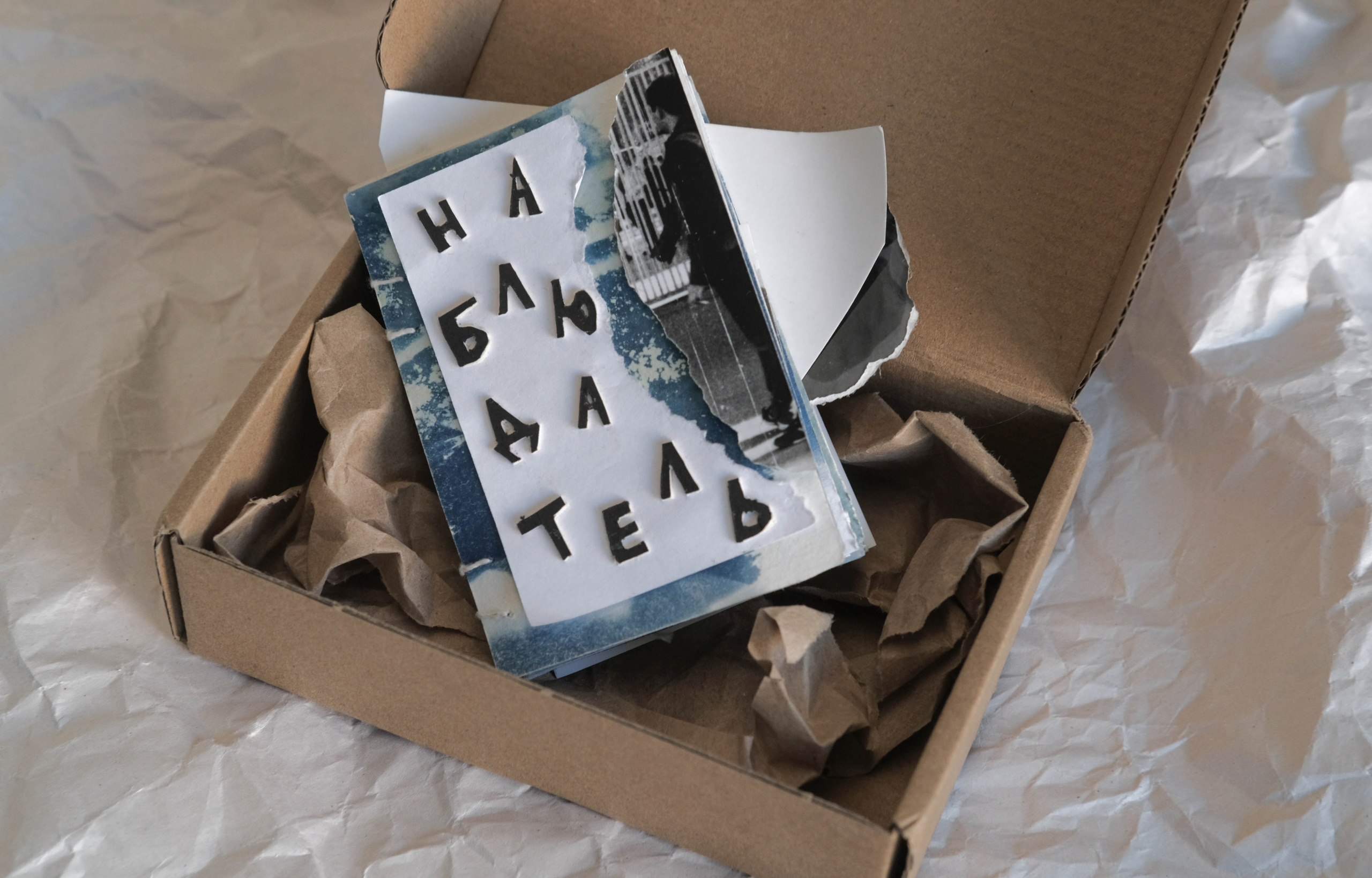 Наблюдатель. Елизавета БаковА