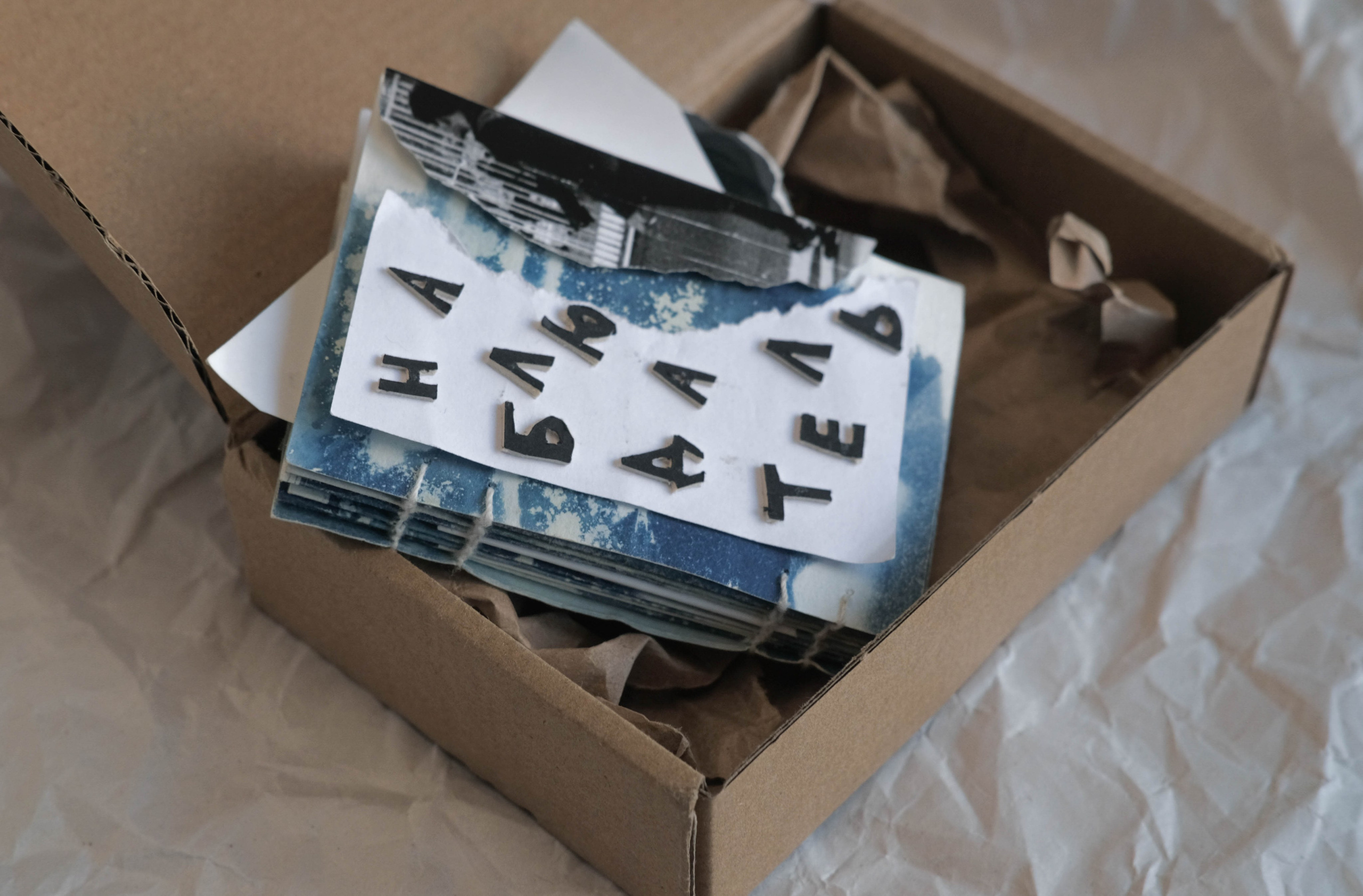 Наблюдатель. Елизавета БаковА