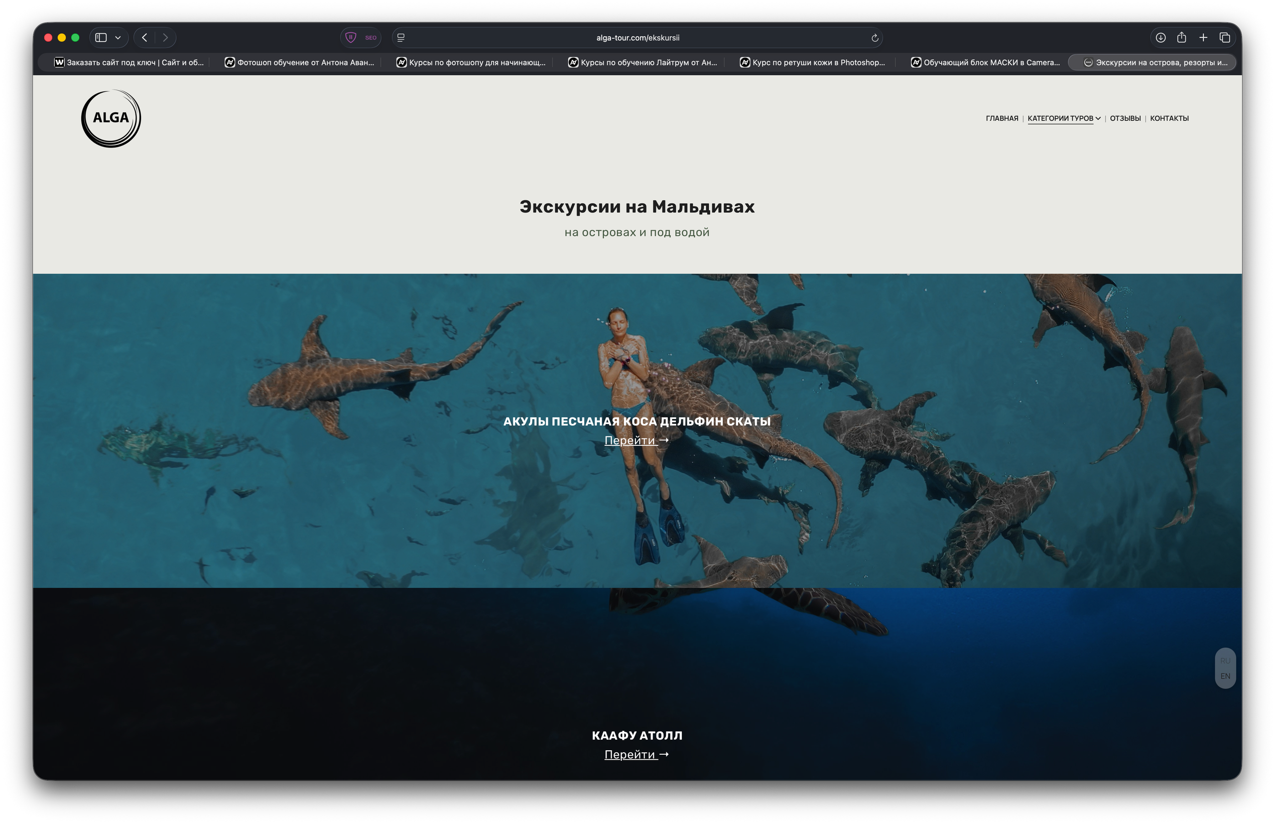 Portfolio and prices for image website creation