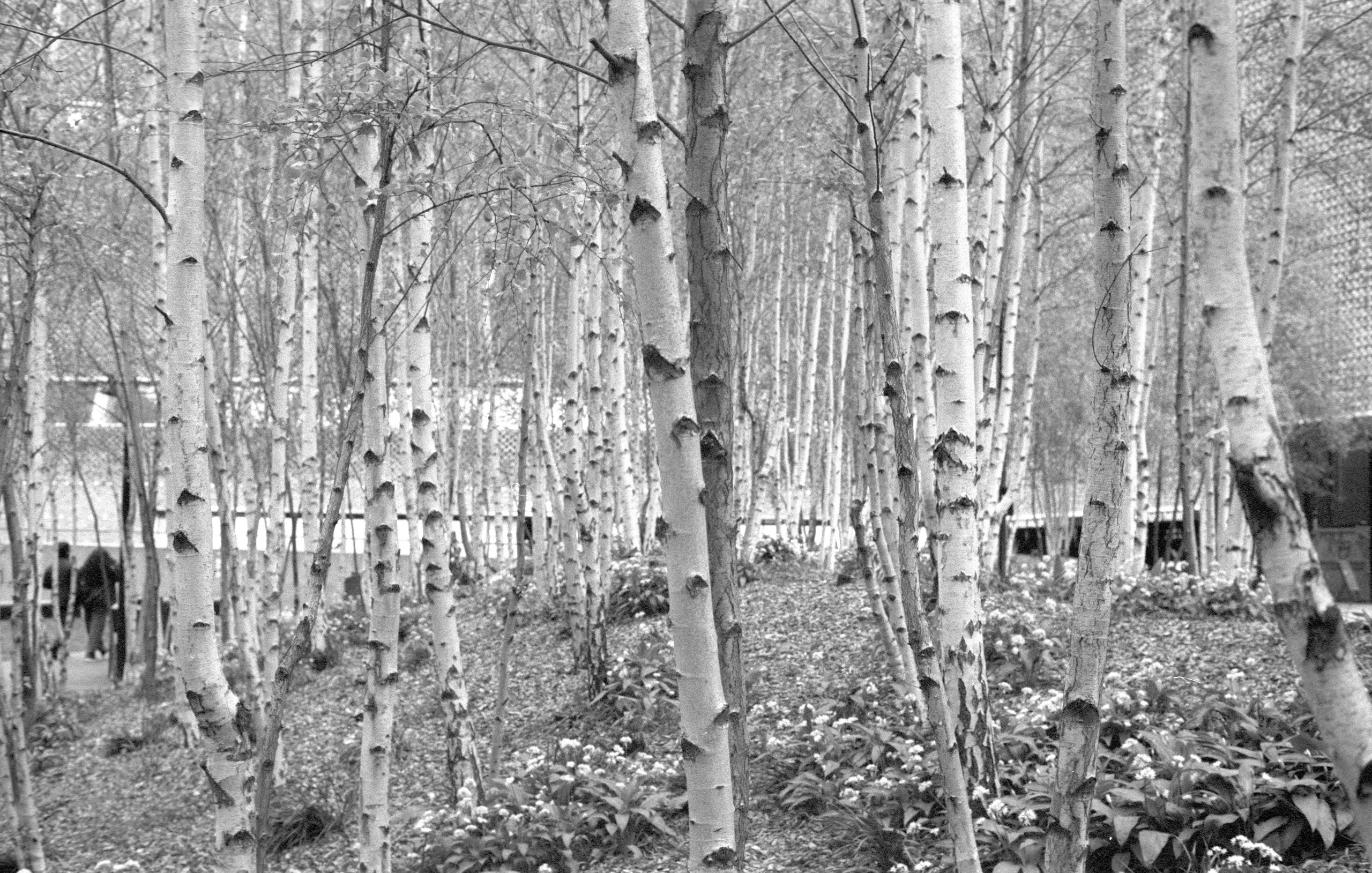 Художественная фотография. Фотохудожник Анна Забродина