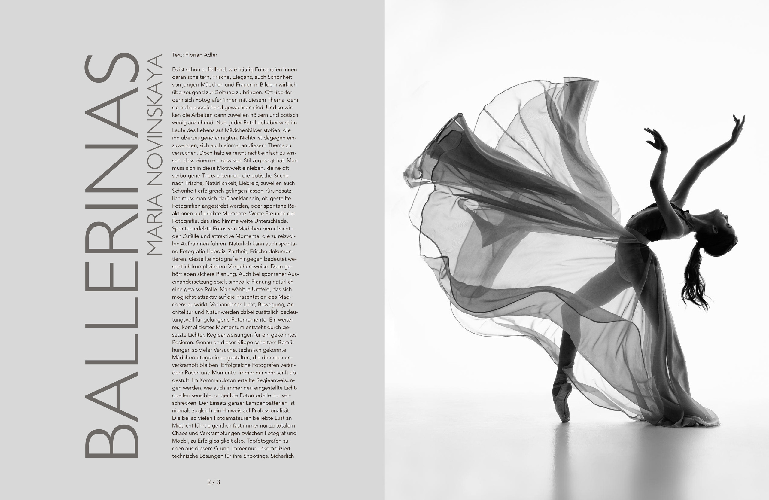 О моих проектах. Мастерство и Эстетика