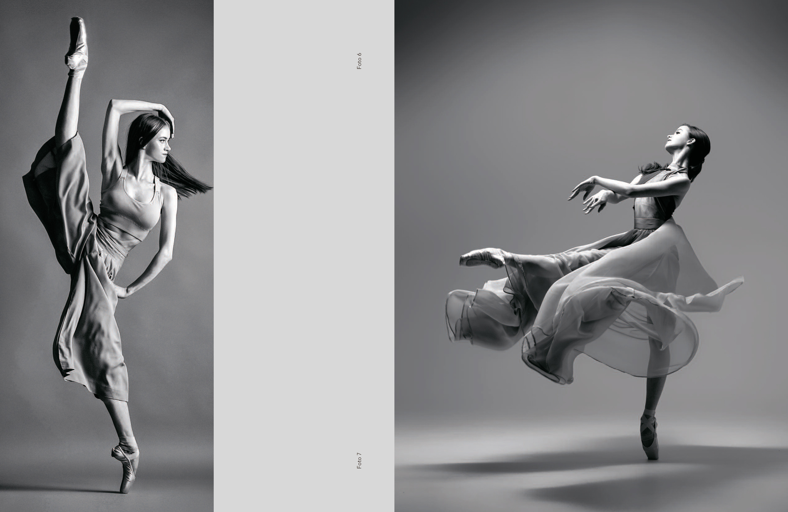 О моих проектах. Мастерство и Эстетика