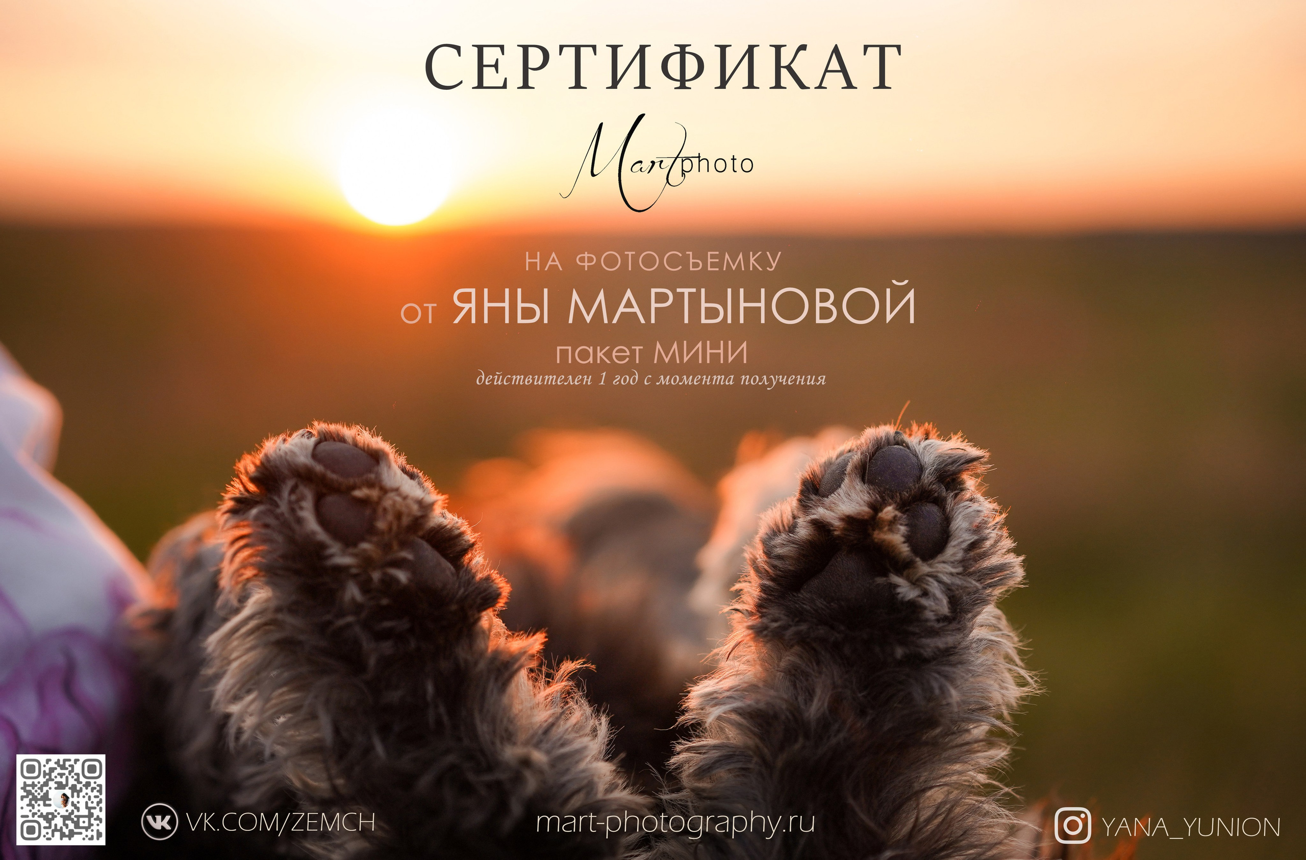 Услуги. Фотограф-анималист в Санкт-Петербурге Яна Мартынова