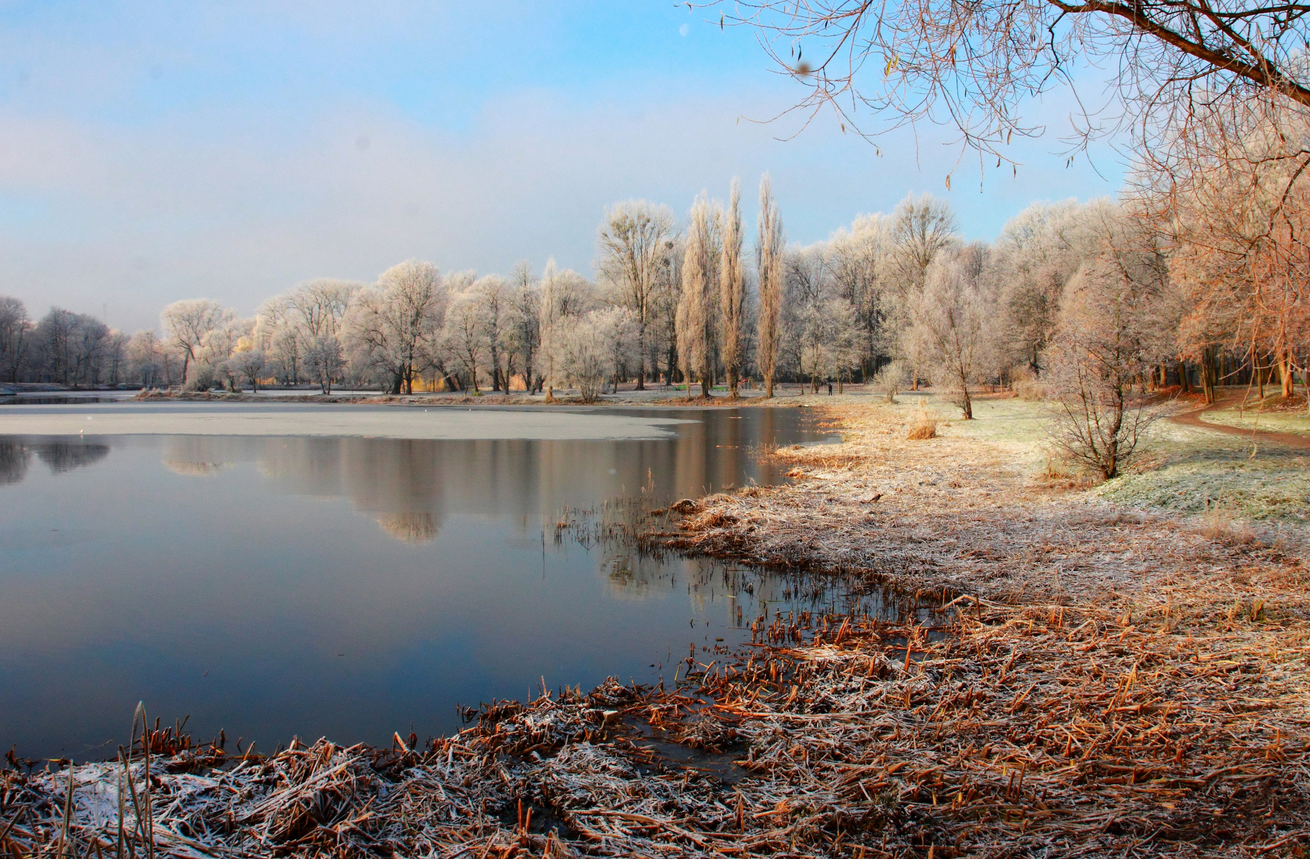 5 главных секретов идеальной семейной фотосессии. Семейный фотограф в Калининграде Надежда Гриднева
