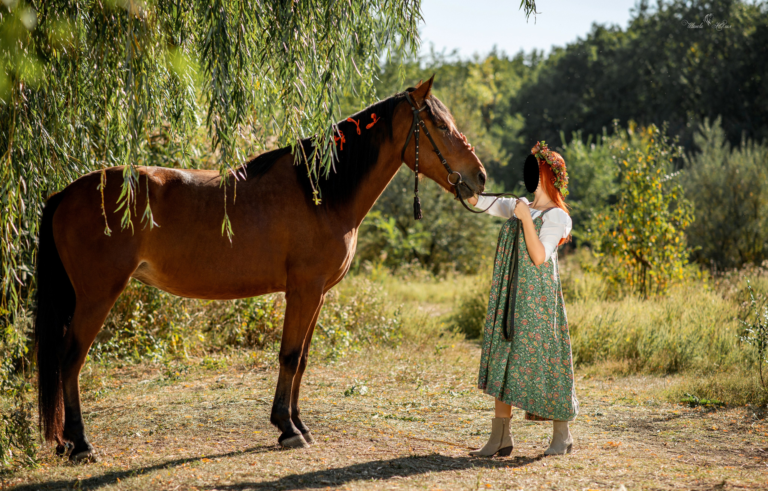 Услуги. Конный фотограф в Саратове Юлия Иванова