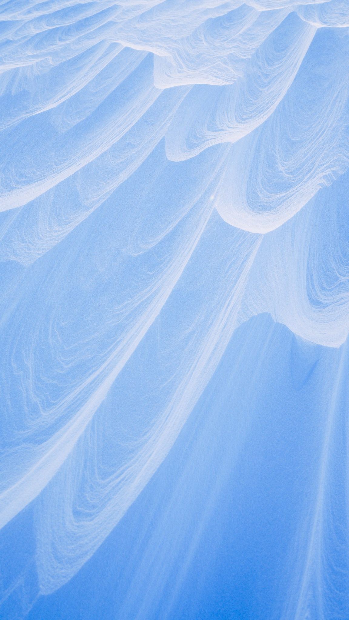 Человек с фотокамерой