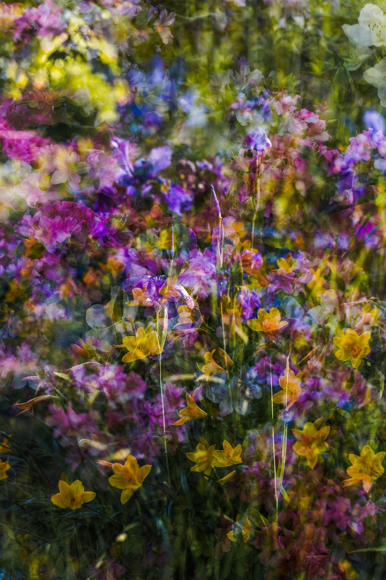Гилярова Инна. ARTEXPOPHOTO