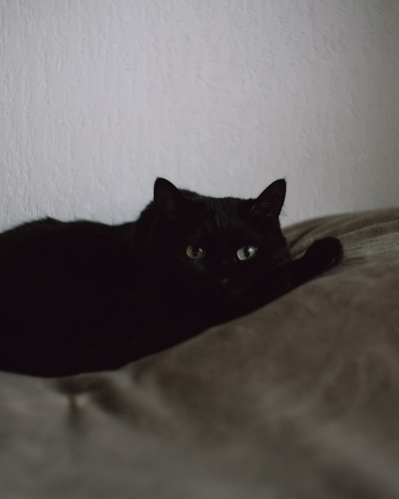 Проект «Быть дома». Фотограф Дарья Мустафина, Тюмень