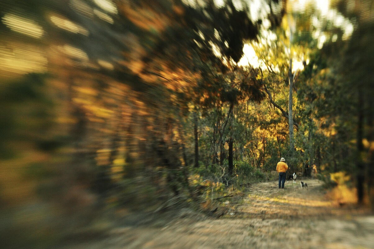 Объективы: lensbaby. PHOTO COMMUNITY #SBERTEAM